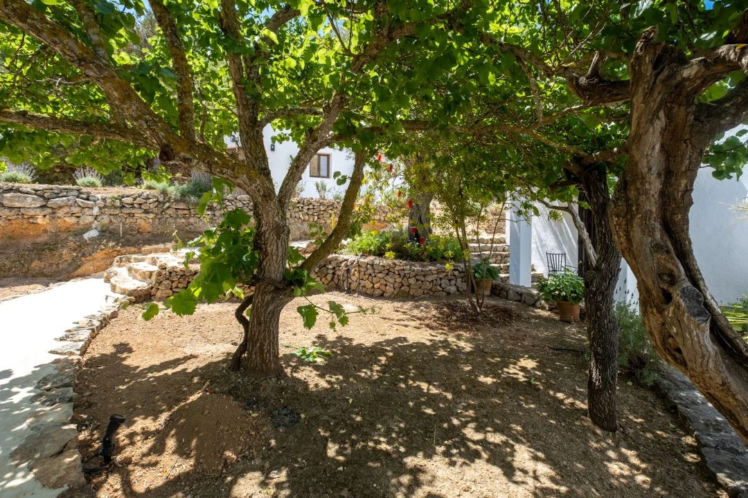 1684146348-Prospectors Luxury real estate Ibiza to rent villa Can Xauret spain property garden rental chef outside.webp